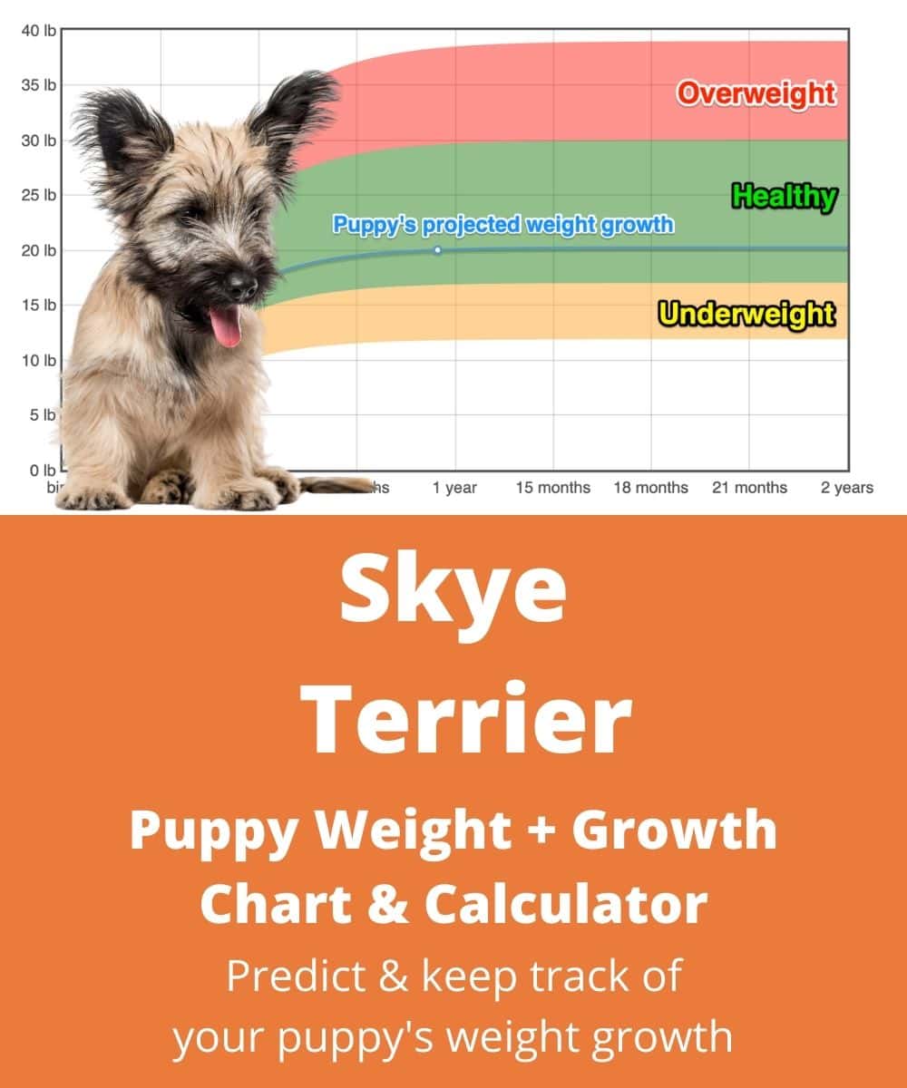 skye-terrier Puppy Weight Growth Chart